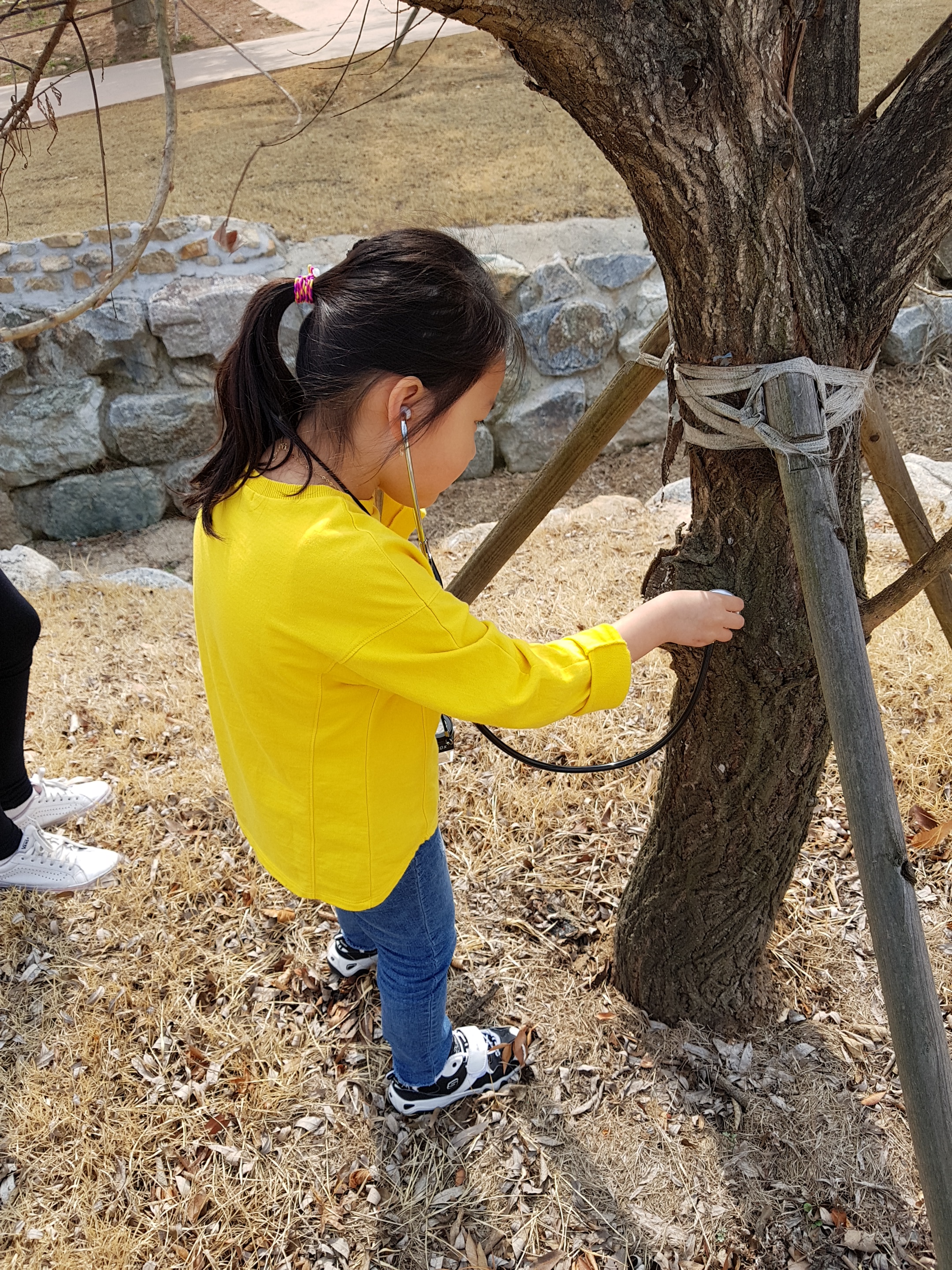 180331 숲체험-역사 꿈틀, 자연 꿈틀 이미지