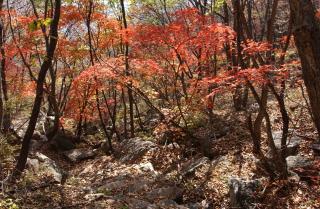 감악산01 의 사진