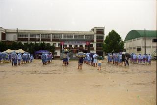 군수배 읍면대항01 의 사진