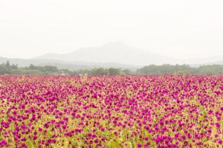 문화재, 관광지 의 사진