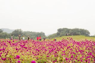 문화재, 관광지 의 사진