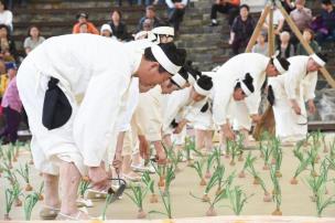 2019 무형문화재 대축제 의 사진